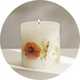 Argos Home Scented Inclusion Candle - Honey & Sandalwood.