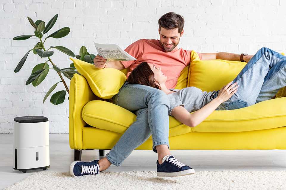 Health benefits of a dehumidifier.