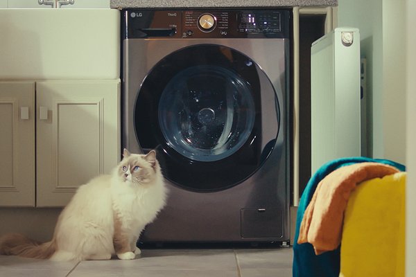 A Quiet Mark certified LG washing machine with fluffy cat sitting on tiled floor.