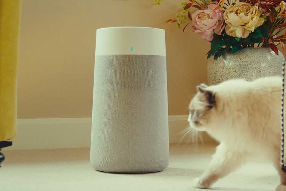 A Quiet Mark certified Blueair air purifier beside a fluffy cat and a flower vase in living room.