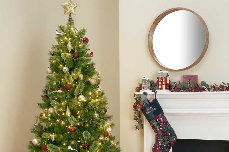Christmas decorations clearance. Save up to 50% on selected trees, lights & decs.