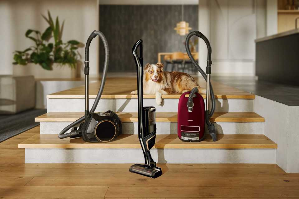 Three Miele vacuum cleaners placed on stairs next to a dog in a living room.