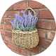 Wicker garden flower pot hanging on brick wall with lavender flowers inside.