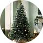 7ft Christmas trees.