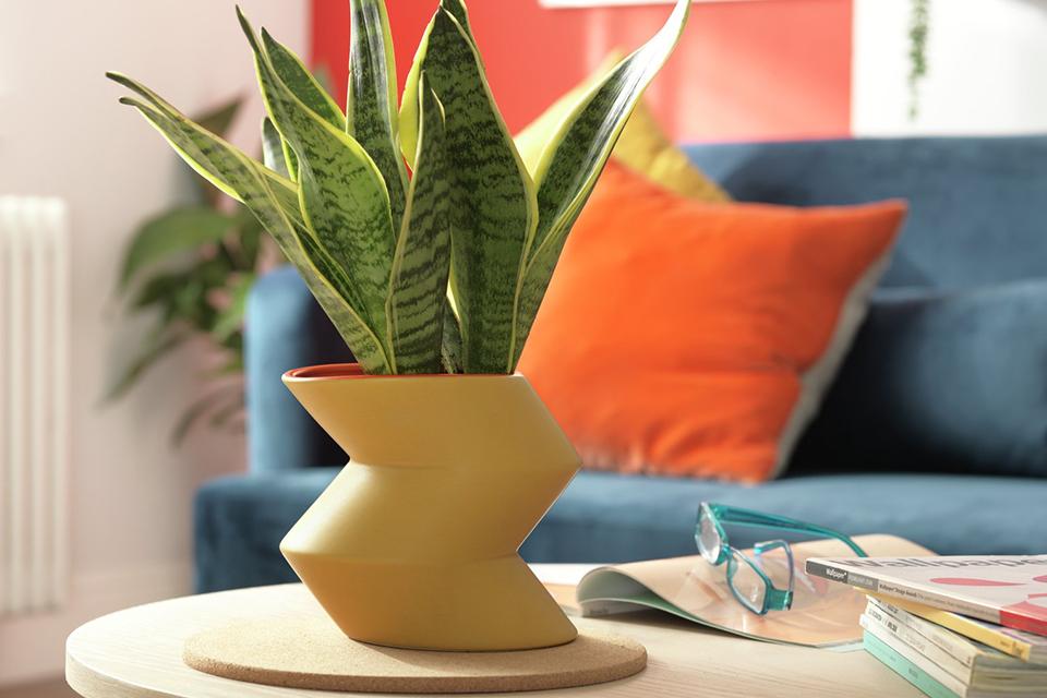 Mustard planter sat on coffee table with magazines.