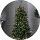 7ft trees.