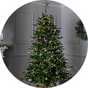 7ft trees.
