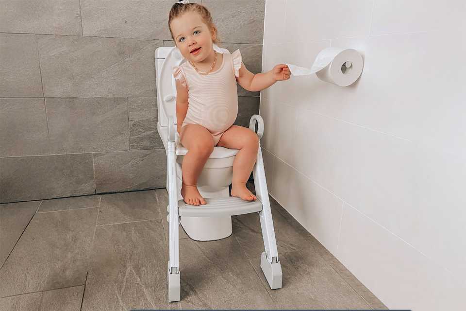 Dreambaby Potty Toilet Trainer Seat w/ladder - Grey.