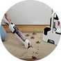 Shark StainForce Cordless Stain-Destroying Spot Cleaner.