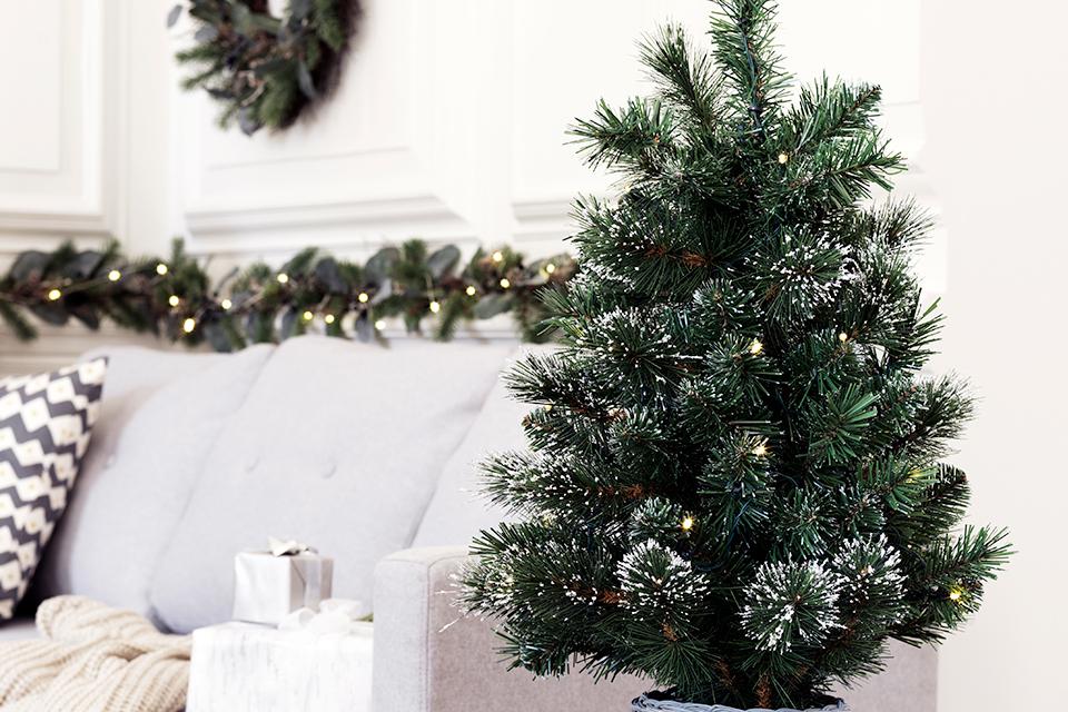 Outdoor and mini trees.