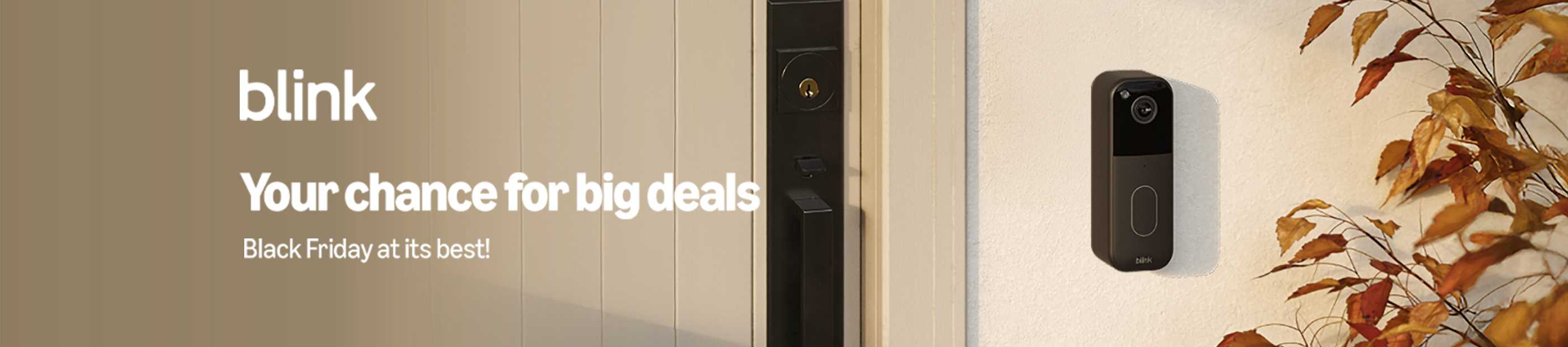 Blink. Your chances for big deals. Black Friday at its best!