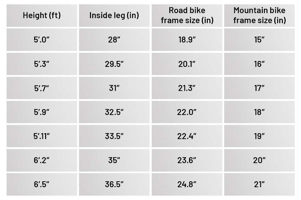 Bike size infographic.