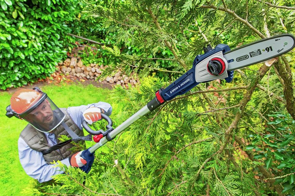 Trim your trees.