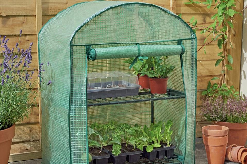 Protect your plants.