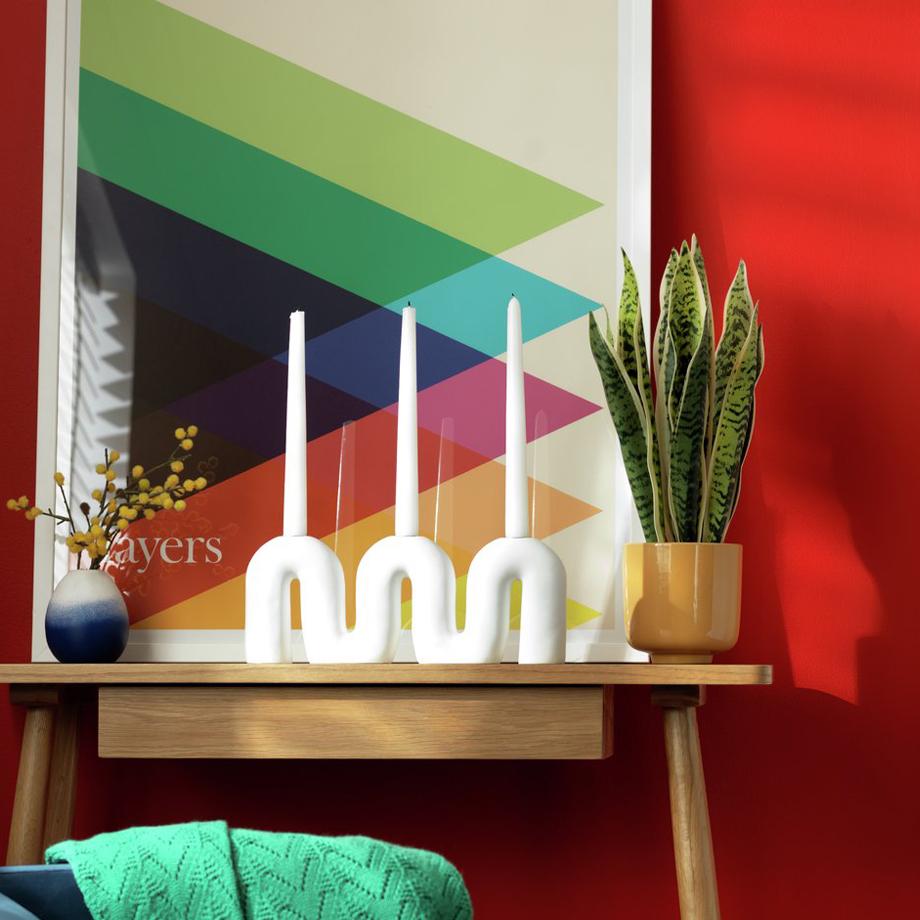 Make your home a happy habitat. Brave. Bright. Bold