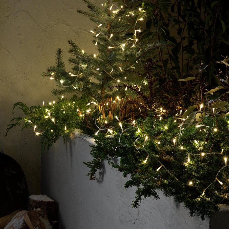 White Christmas lights with a clear cable.