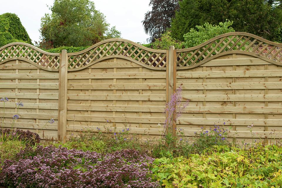 Trellis.