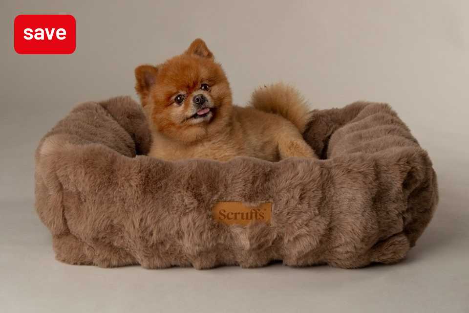 Save up to 50% on selected pet care. Holiday savings for your furry friends. Shop now,