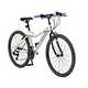 Adult bikes.