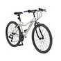 Adult bikes.