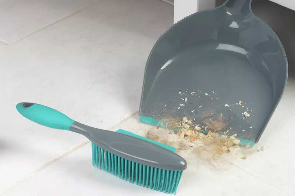 Beldray Pet Plus Dustpan and Brush Set.