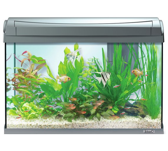 Buy Tetra Aquaart II 60 Litre Aquarium Graphite at Argos.co.uk Your