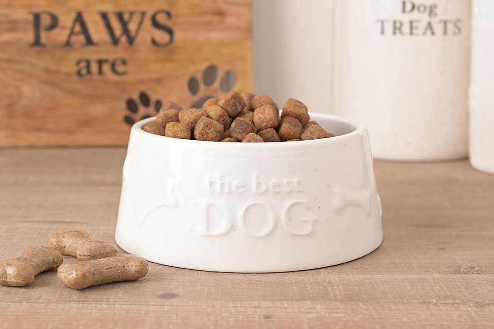 Pet essentials. Everything your furry friends need to feel happy and loved. Shop now.