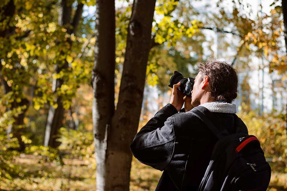 A man clicking a picture through some trees using a camera.