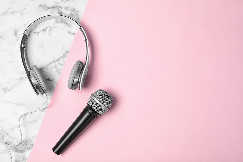 : A microphone and headphones.