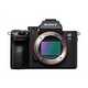 Mirrorless cameras.