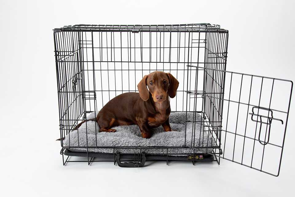 Dog crates and cages. Comfortable crates for rest and relaxation.