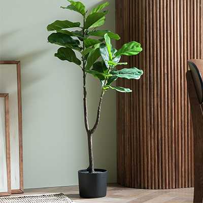 Habitat Artificial Green Fig Tree.