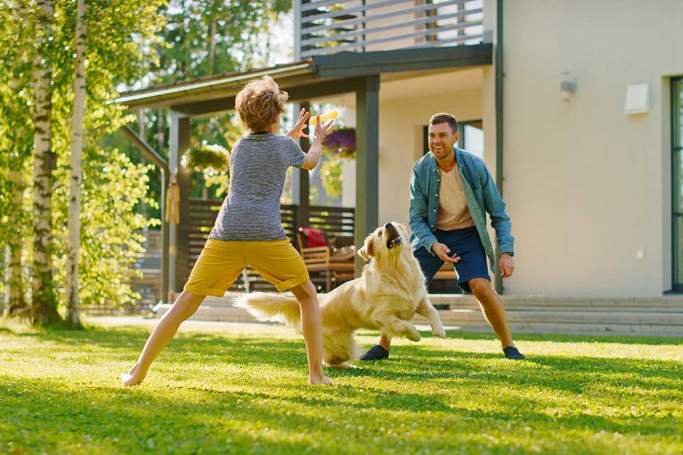 A father and son playing with their pet in their lawn.