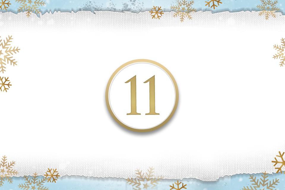 Day 11.