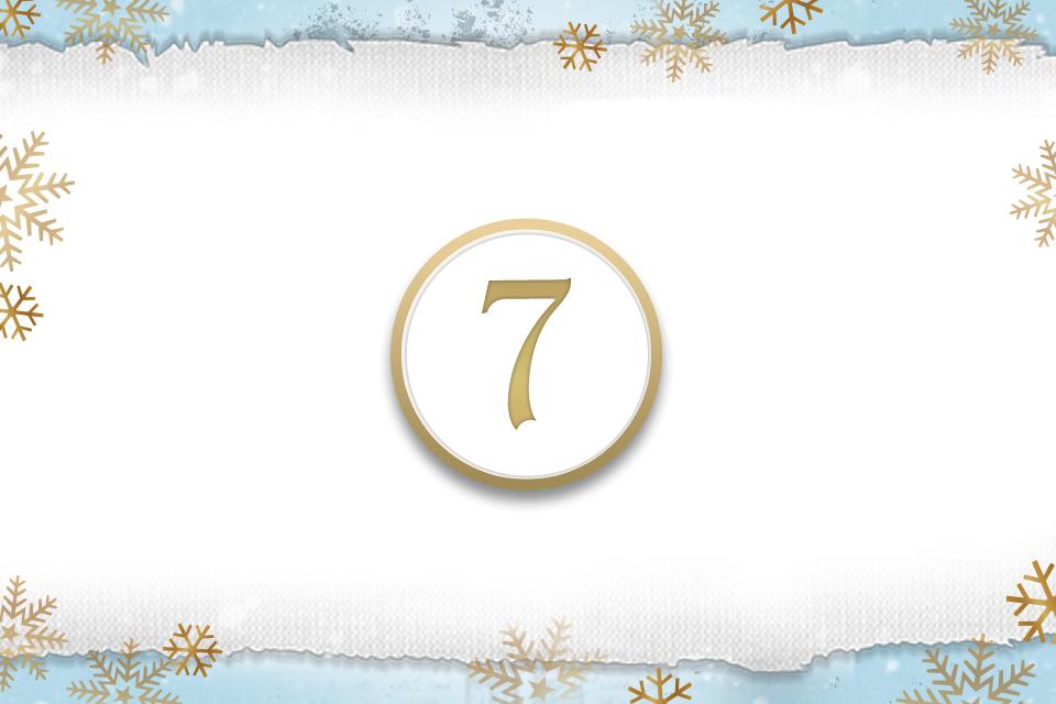 Day 7.