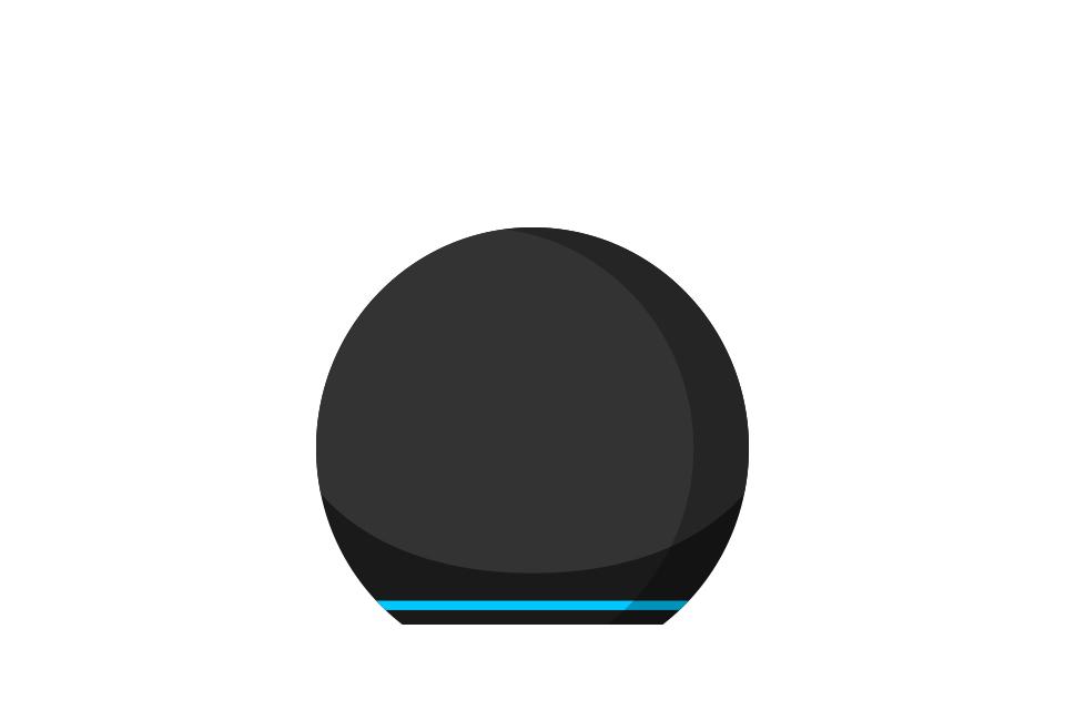 Round echo smart speaker.