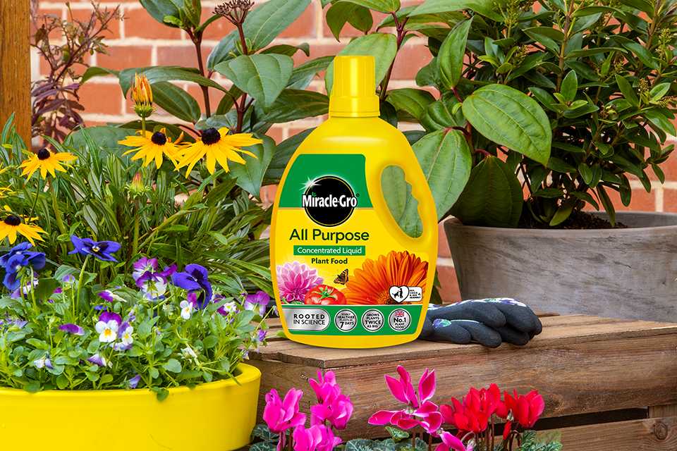 A yellow bottle of Miracle Gro® plant food against a garden backdrop.