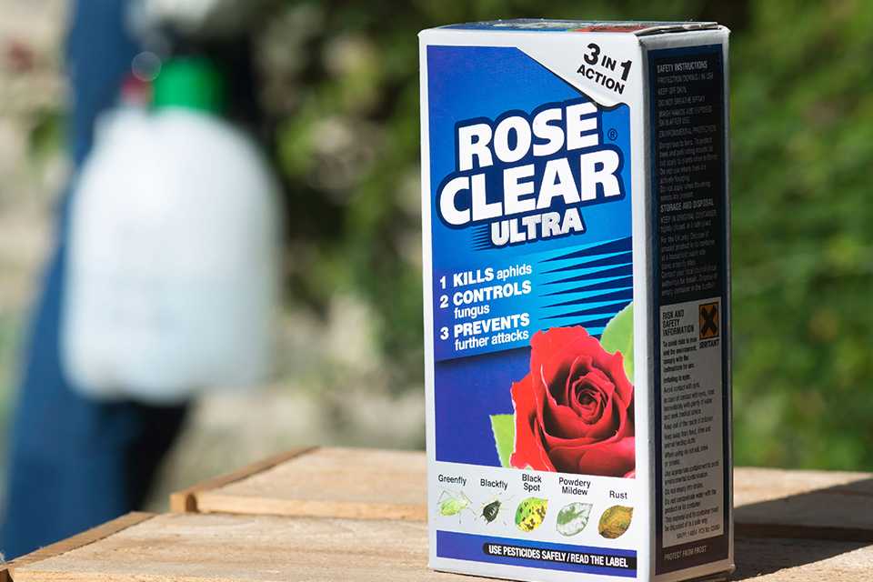 A blue and white box of Rose Clear Ultra® pest/disease control concentrate spray.