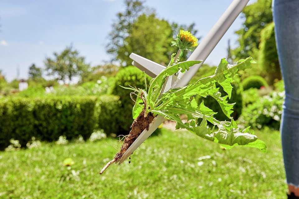 Gardena Weed Puller.