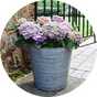 Flowers in a Ivyline 37cm Ribbed Galvanised Planter.