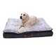 XL dog beds.