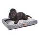 Medium dog beds.