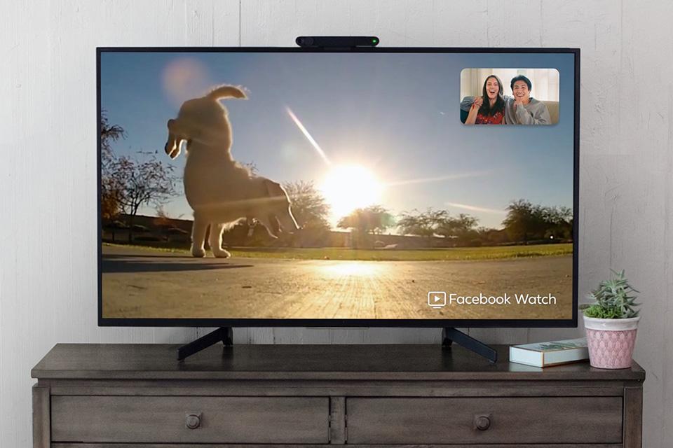 A young couple (shown in preview) watch a jumping dog displayed on a large screen.