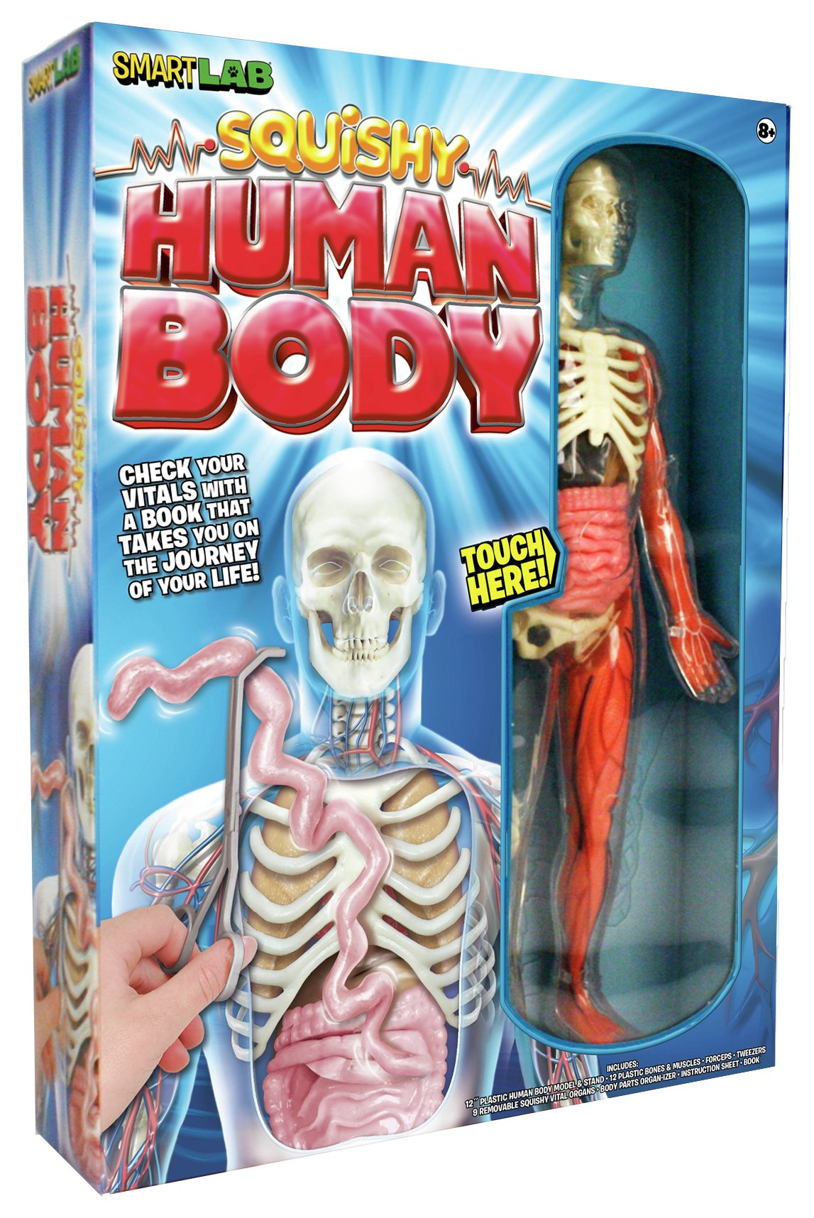 smartworks squishy human body