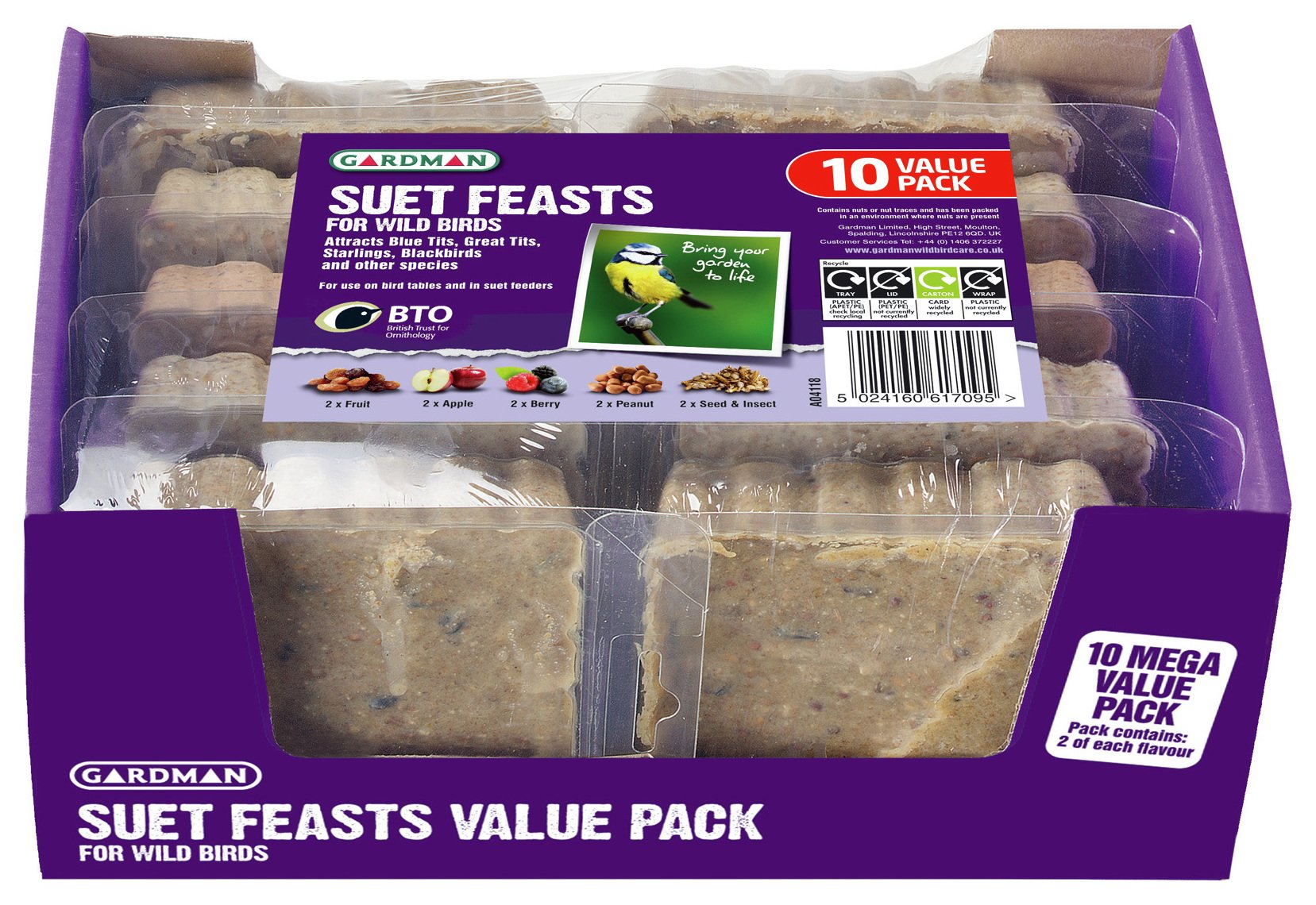Gardman 10 Pack Suet Feast With 5 Different Flavours Bird Feed Suet Food A04118
