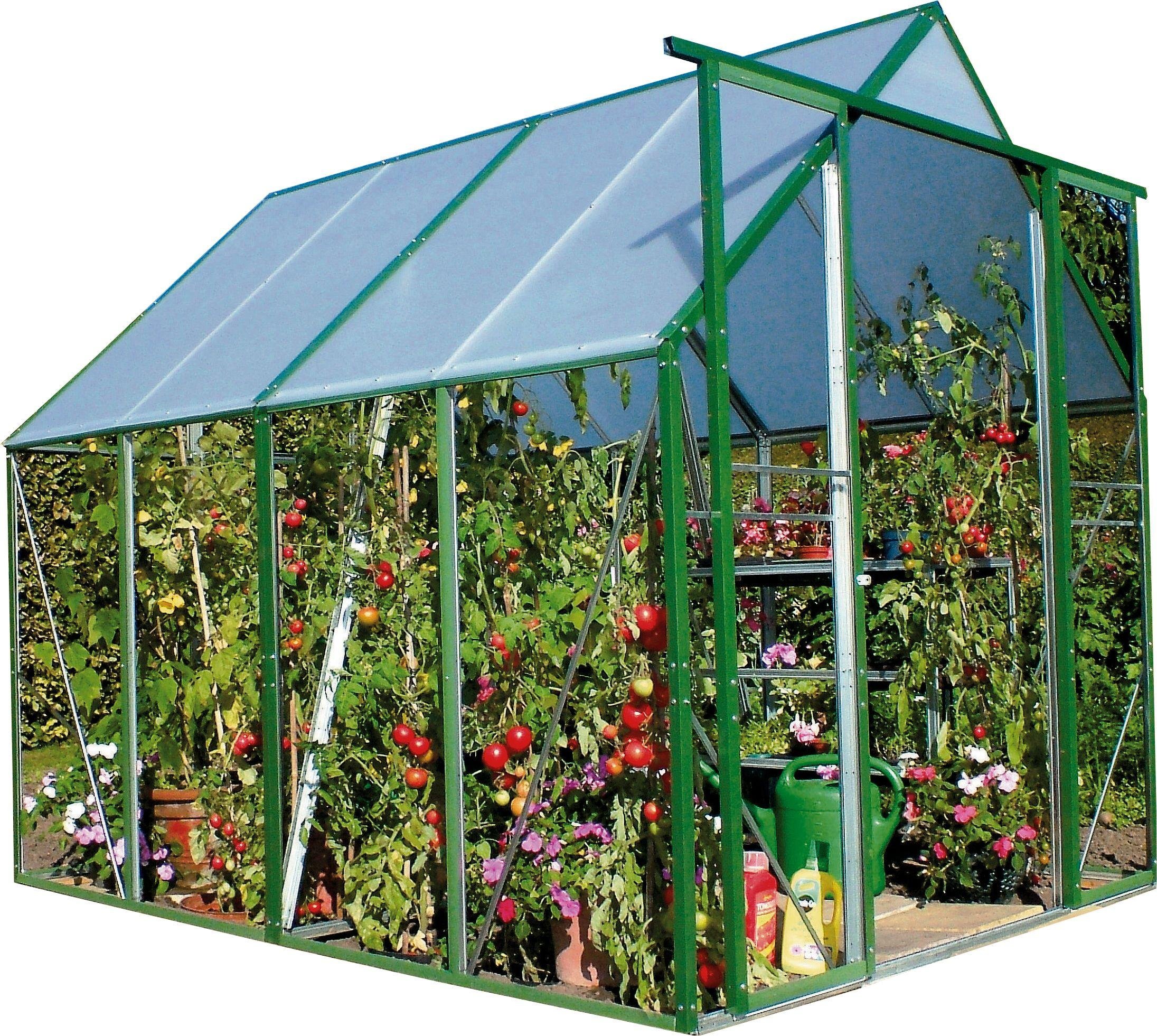 Norfolk Greenhouses twin-walled 6 x 8ft Ultimate Greenhouse Review