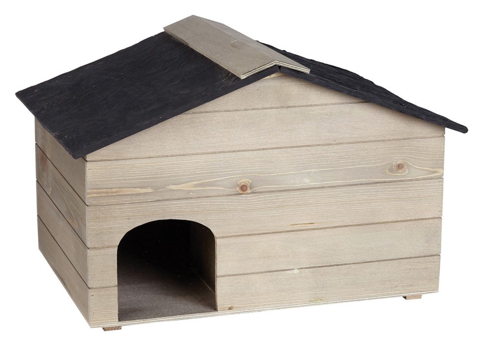 Ernest Charles Norfolk Hedgehog House Review