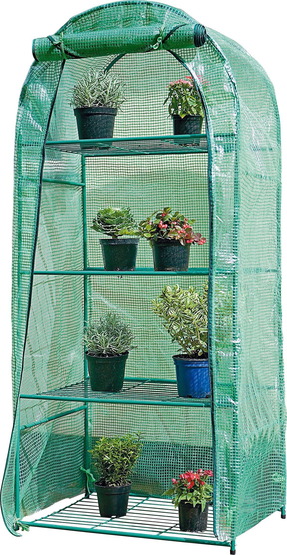 4 Tier Mini Greenhouse Review