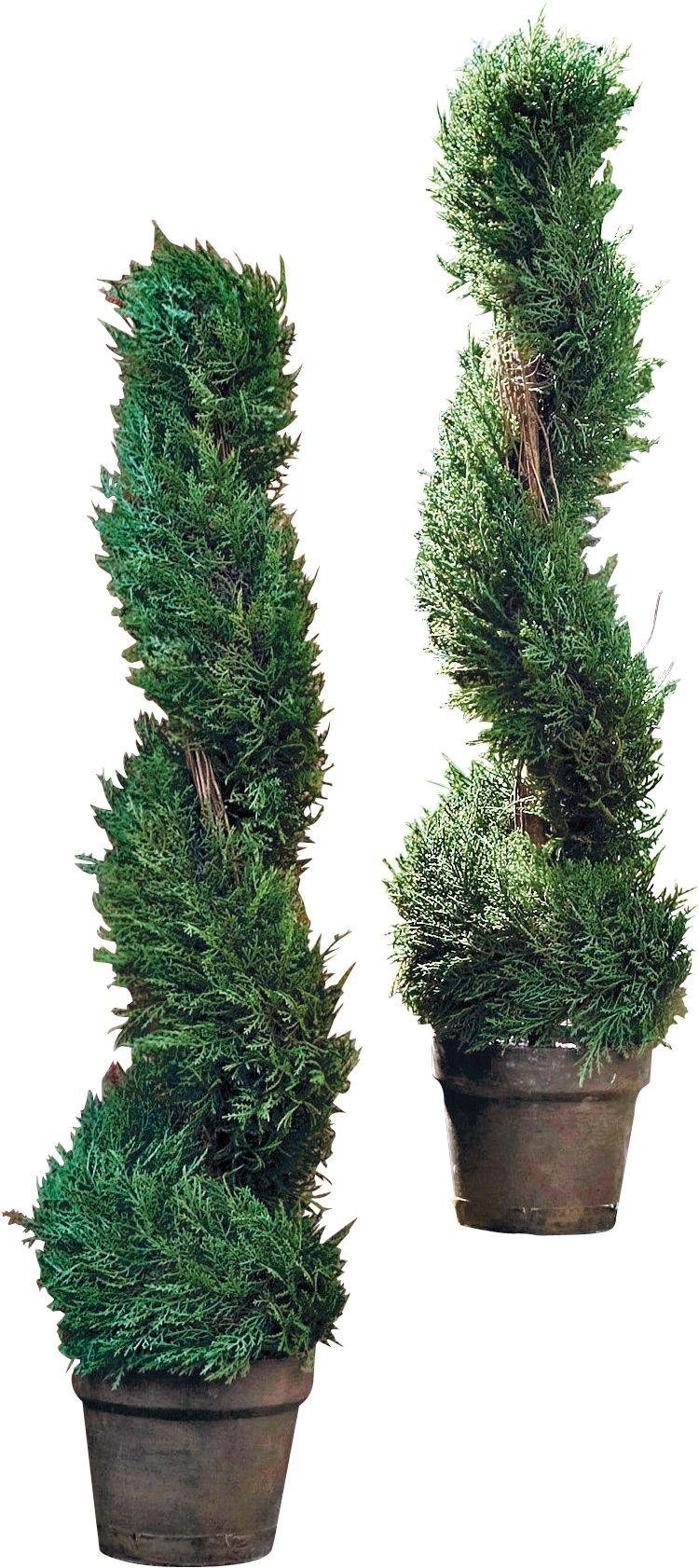 Artificial Twin Pack Cedar Twist Topiary Tree  - 91cm Review