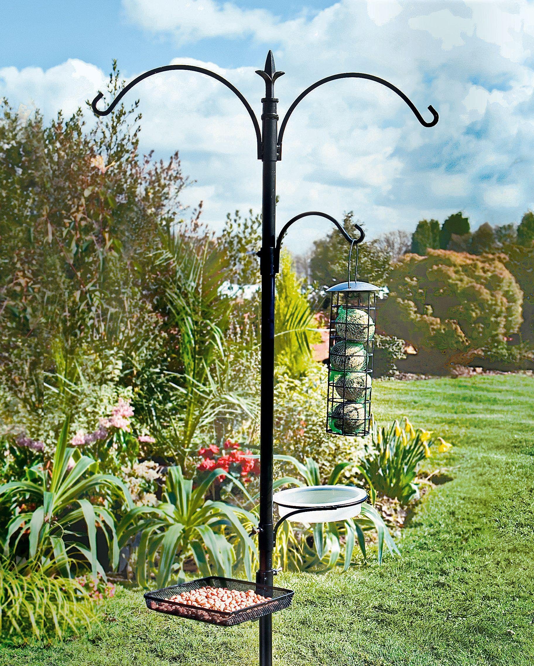 Wild Bird Feeding Station. Review